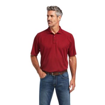 Ariat AC Polo Rubaiyat | oUmnOfsh