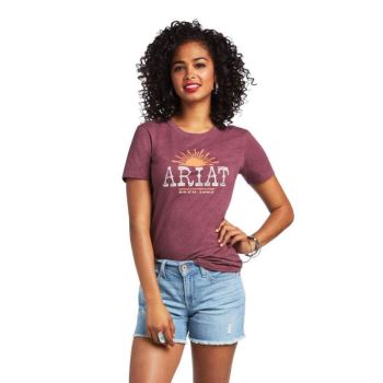 Ariat Ariat Amarillo T-Shirt Bordove | jKqDXGGS