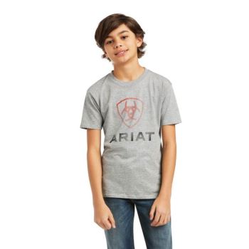 Ariat Ariat Blends T-Shirt Athletic Heather | 6FxnXbNs