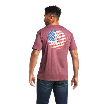 Ariat Ariat Flag Circle T-Shirt Bordove | O6hKv85W