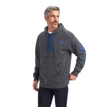 Ariat Ariat Logo Hoodie Siva | HHl3AFaO