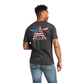 Ariat Ariat Longhorn T-Shirt Siva | 1SouHn9m