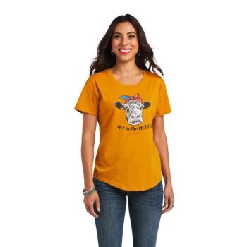 Ariat Ariat Not in the Mood T-Shirt Buckhorn Heather | 1zNM1moj