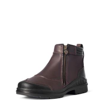 Ariat Barnyard Side Zip Boot Tmavo Hnede | LQ3k57pQ