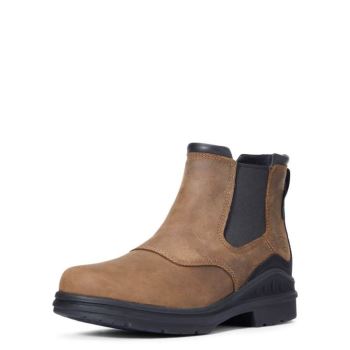 Ariat Barnyard Twin Gore II Nepremokave Boot Hnede | pZynVMeU