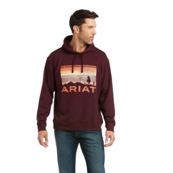 Ariat Basic Hoodie Sweatshirt Malbec Southwest Scenic | DXBNnj49