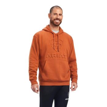 Ariat Basic Hoodie Sweatshirt Mocha Bisque Logo | D4K4aWqs