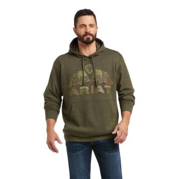 Ariat Basic Hoodie Sweatshirt Olivovo Zelená | DUoxUTJM
