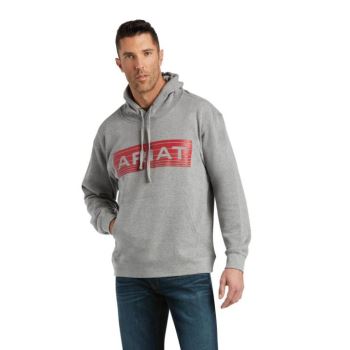 Ariat Basic Hoodie Sweatshirt Oranžové | 0DINH584