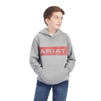 Ariat Basic Hoodie Sweatshirt Oranžové | ixZntnwM