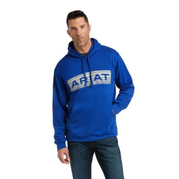 Ariat Basic Hoodie Sweatshirt Siva | 50AuJNAA