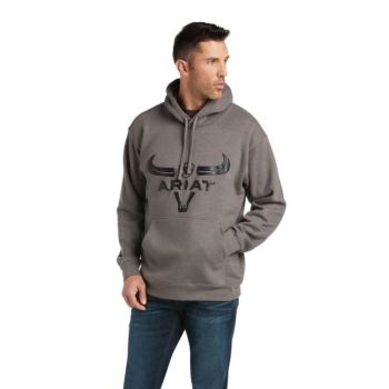 Ariat Basic Hoodie Sweatshirt Siva | aKWQWGVM