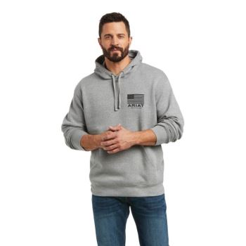Ariat Basic Hoodie Sweatshirt Siva | z6mq0Lfa