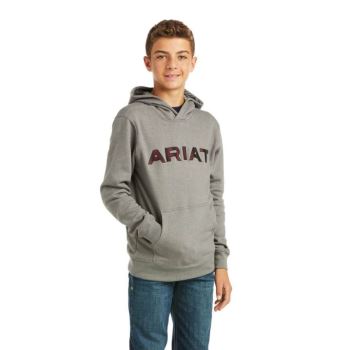 Ariat Basic Hoodie Sweatshirt Siva Červené | ZyqDNznN
