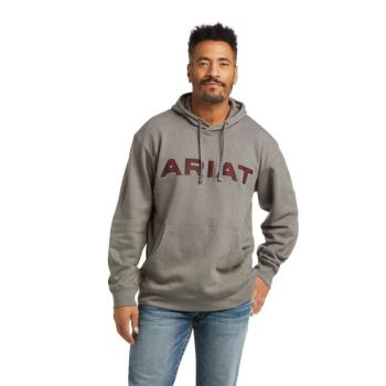 Ariat Basic Hoodie Sweatshirt Siva Červené | k4ZO59Zj