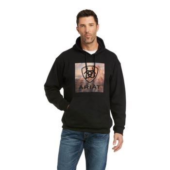 Ariat Basic Hoodie Sweatshirt Čierne | DMTKnVXA
