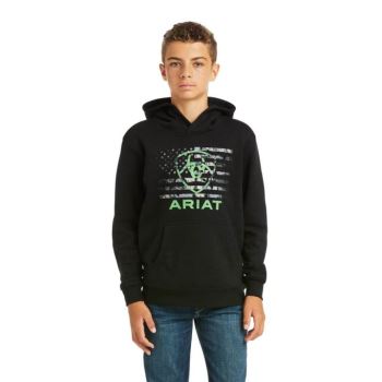 Ariat Basic Hoodie Sweatshirt Čierne Zelene | Tpx7SGTF