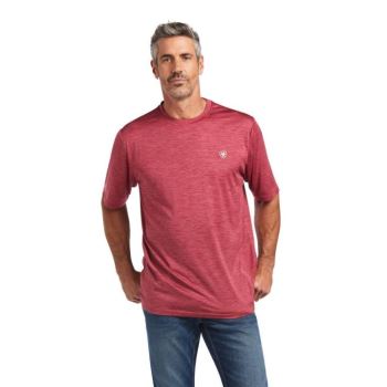Ariat Charger Basic T-Shirt Rubaiyat | 3ygXi0tz