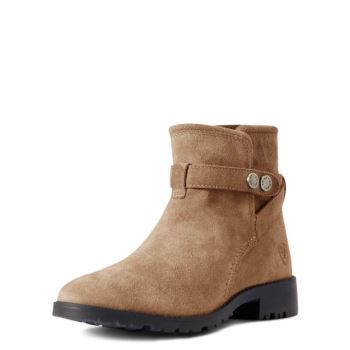 Ariat Charlie Nepremokave Boot Fawn | ycc8Z9nh