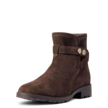 Ariat Charlie Nepremokave Boot Čokoláda | GLGN3obP