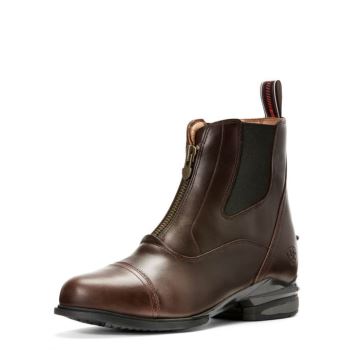 Ariat Devon Nitro Paddock Boot Čokoláda | mniwrD0q