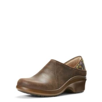 Ariat Hera Expert Clog Hnede | BkMm7h0Q