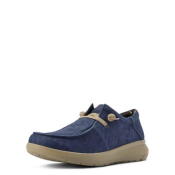 Ariat Hilo Stretch Cipkovane Modre | 1d9Wj8km