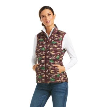 Ariat Ideal 3.0 Down Vest Pasture Print | Tt0Epr3i