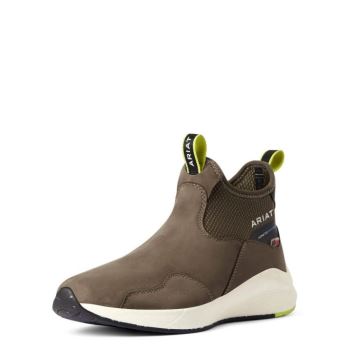 Ariat Ignite Chelsea Nepremokave Moss | vQ2mxCAV