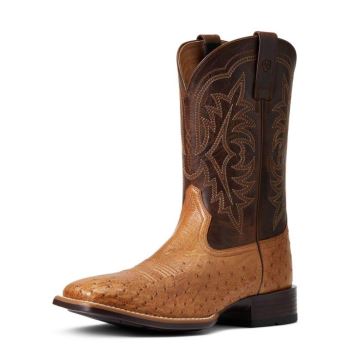 Ariat Night Life Ultra Western Boot Ranger Smooth Quill Ostrich | bUgdAhmv