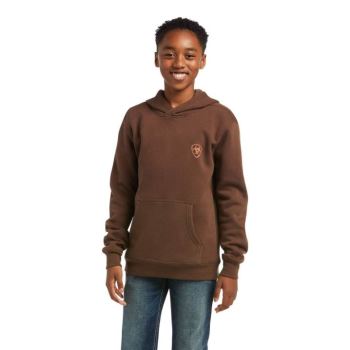 Ariat Patriot 2.0 Sweatshirt Hnede Hnede | LgcFt8NT