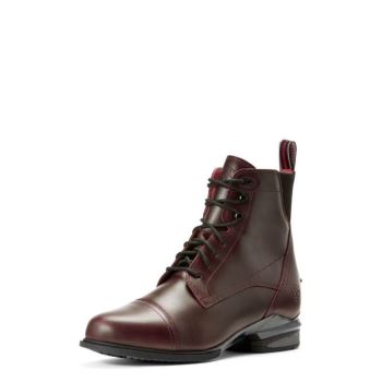 Ariat Performer Nitro Paddock Boot Čokoláda | wZEEsXa7