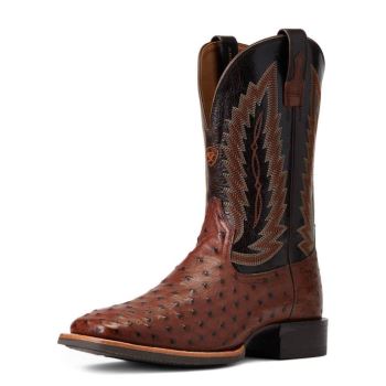 Ariat Quantum Primo Western Boot Antique Tabac Fq Ostrich | 1DQnZ5G2