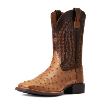 Ariat Quantum Primo Western Boot Ranger Full Quill Ostrich | eXT4O0Gj