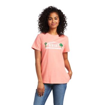 Ariat Rebar Bavlnene Strong Farm Grafika T-Shirt Summer Melon | 0TaOx8HT