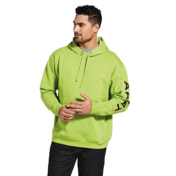Ariat Rebar Grafika Hoodie Svetlo Zelene Čierne | uDOADZPz