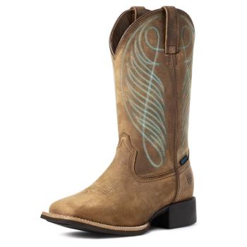 Ariat Round Up Siroke Topanky Square Spicou Nepremokave Western Boot Hnede | 4BHJXnEa
