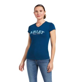 Ariat Since 1993 T-Shirt Modre | Y43d1JyI