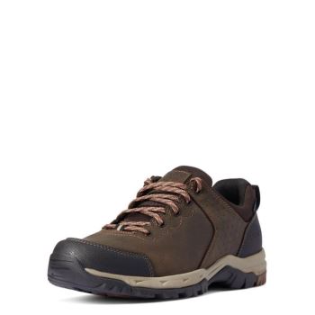 Ariat Skyline Low Nepremokave Hnede | xwyqJlFn