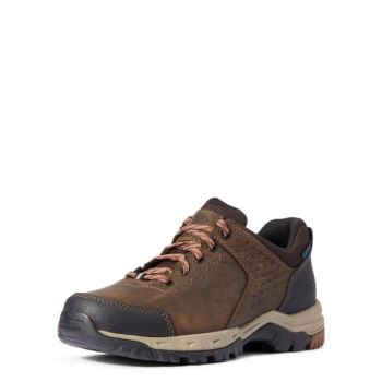 Ariat Skyline Low Nepremokave Hnede | yV24F3Vu