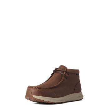 Ariat Spitfire Nepremokave Hnede | yyTvcbWZ