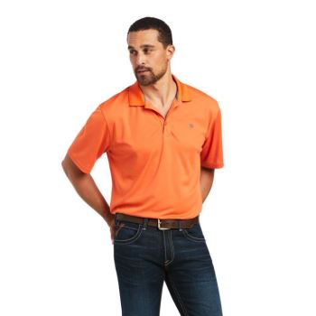 Ariat TEK Polo Koi | QSDPUC3Y