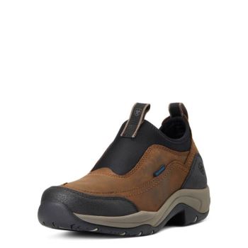 Ariat Terrain Ease Nepremokave Hnede | fhho8RVG