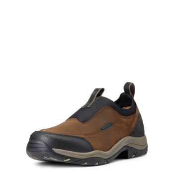 Ariat Terrain Ease Nepremokave Hnede | jntZfimj