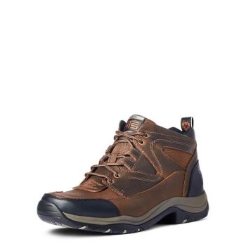 Ariat Terrain Hnede | WIzbBzC2