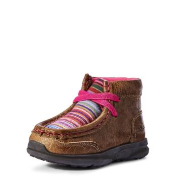 Ariat Toddler Lil' Stompers Aurora Spitfire Hnede | poeBsVKz