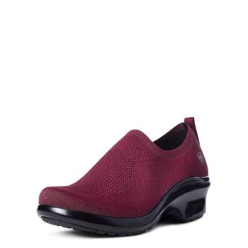 Ariat VentKnit Expert Clog Bordove | ZCFM7G49