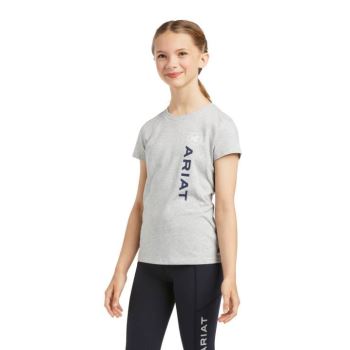 Ariat Vertical Logo T-Shirt Siva | 6YvJufkh