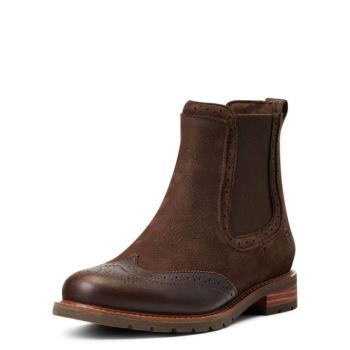 Ariat Wexford Brogue Nepremokave Čokoláda Hnede | gaHhImV0
